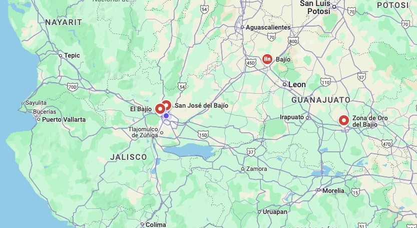 The Bajio Region: A Cluster in the Automotive Industry In Mexico